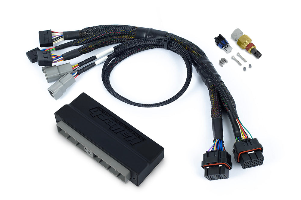 Haltech Nexus S3 Plug 'n' Play Adapter Harness - Nissan Skyline R34 GT-T