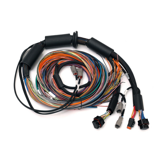 Haltech Nexus R3 wiring harness - 2.5m
