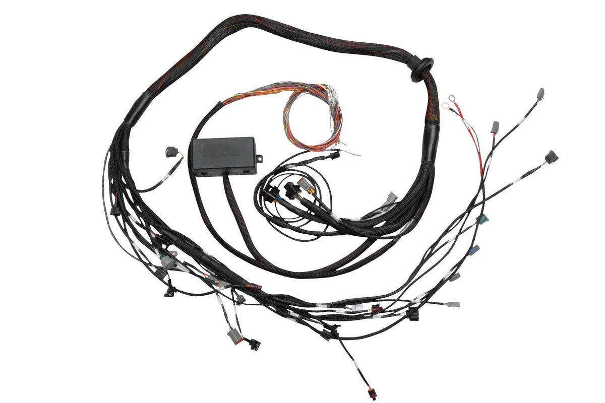 Haltech Elite 2000/2500 Toyota 2JZ Term Main Engine Harness only