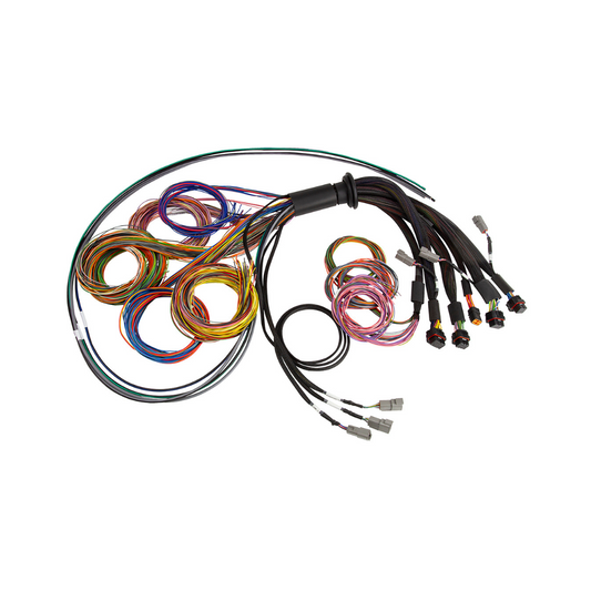 Haltech Nexus R5 wiring harness - 5m