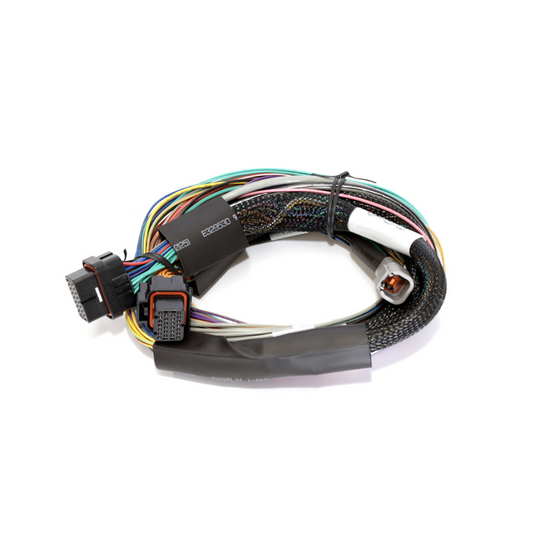 Haltech Elite 1500 wiring harness - basic