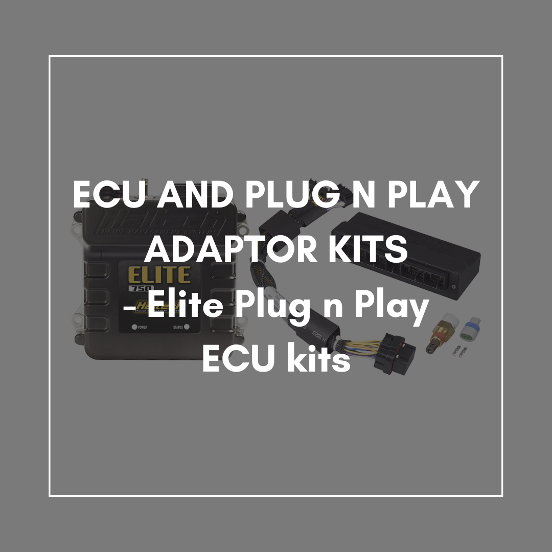 ECU and Plug N Play Adapter Kits - Elite / Nexus Plug N Play ECU Kits ...
