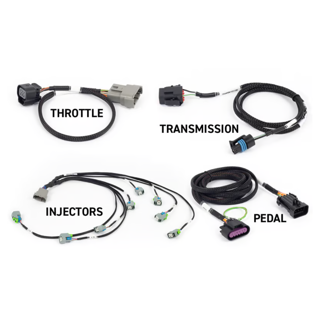 Haltech Nexus Rebel LS - suit gen 4 engines