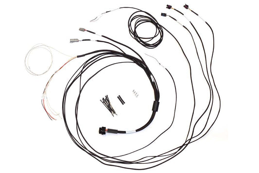Haltech Semi Terminated Harness for iC-7 Display Dash