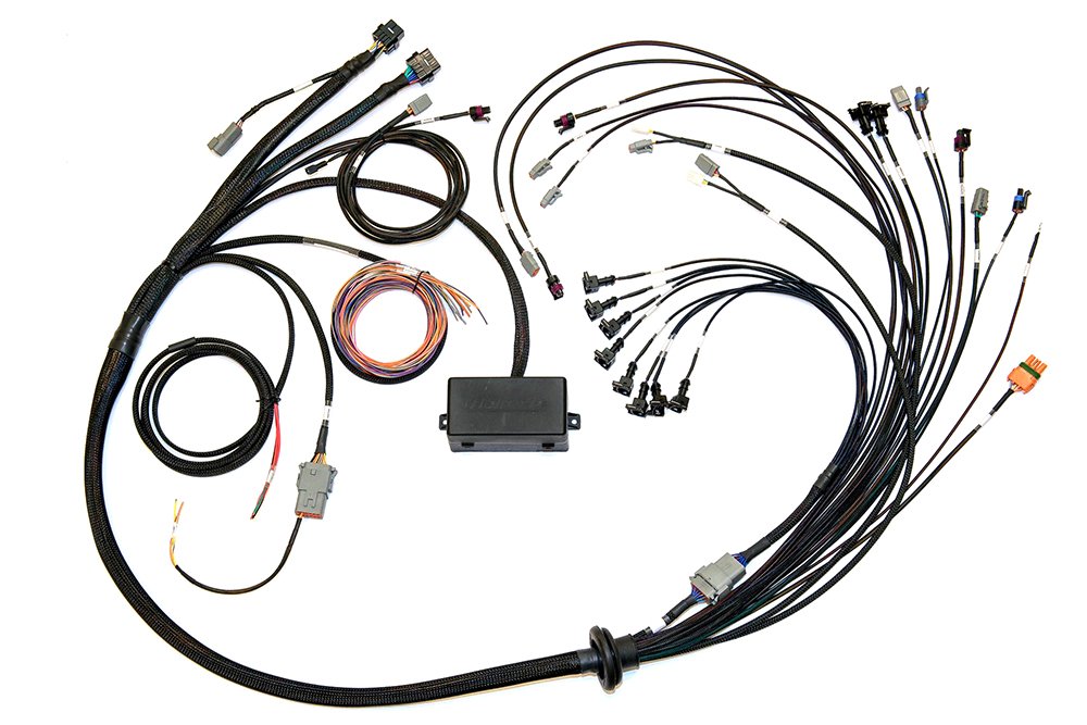 Haltech Elite 2500/2500 T V8 GM, Ford & Chrysler Term Harn Only EV1