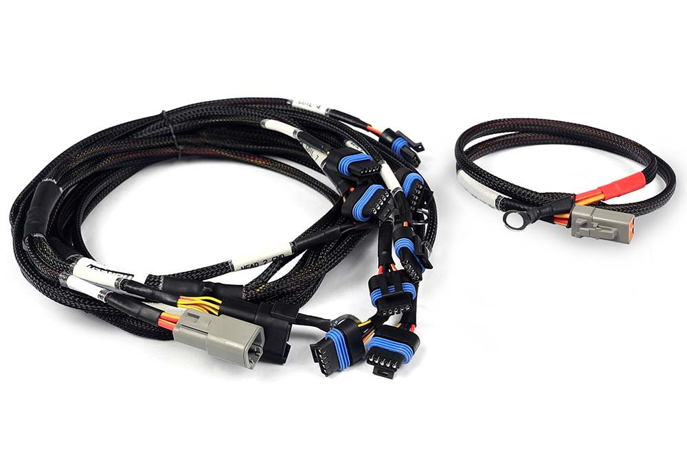 Haltech Nexus V8 IGN-1A Ford Harness