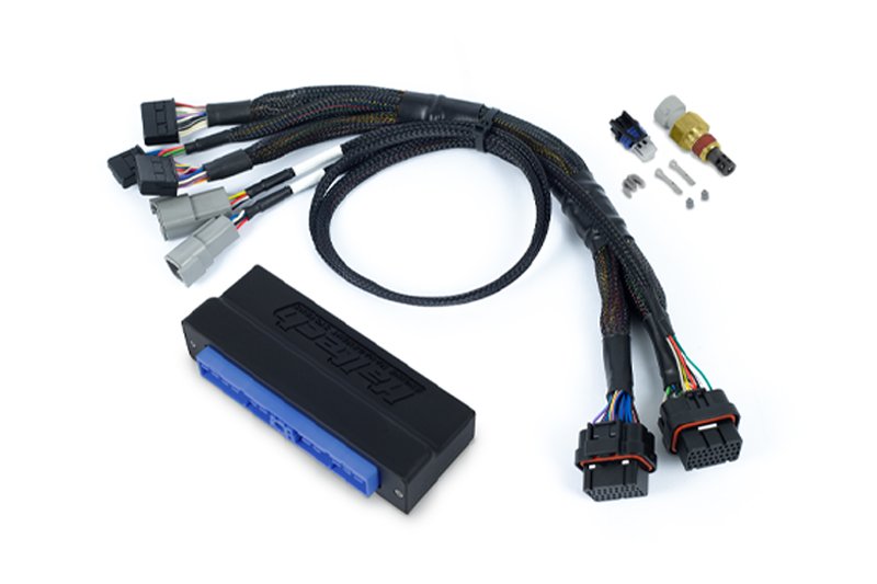 Haltech Nexus S2 Plug 'n' Play Adapter Harness Kit - Nissan Silvia S13 SR20 – view 3