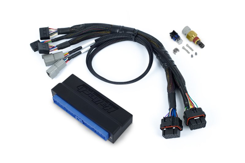 Haltech Nexus S3 Plug 'n' Play Adapter Harness Kit - Nissan Patrol Y60 Y61 Auto – view 3