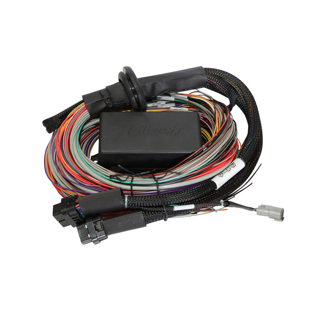Haltech Elite 2500 wiring harness - premium – Rapid Performance